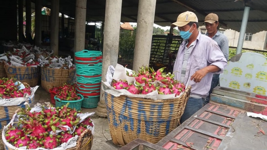 Doanh nghiệp đã chuẩn bị những gì để vượt qua đại dịch Covid-19?