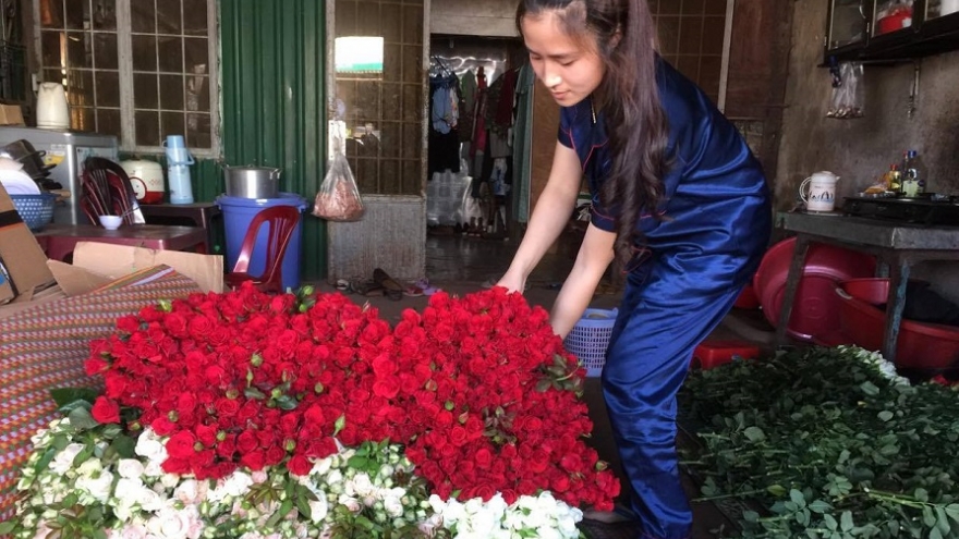 Lâm Đồng: Rau, hoa tăng giá trở lại, nhà vườn phấn khởi