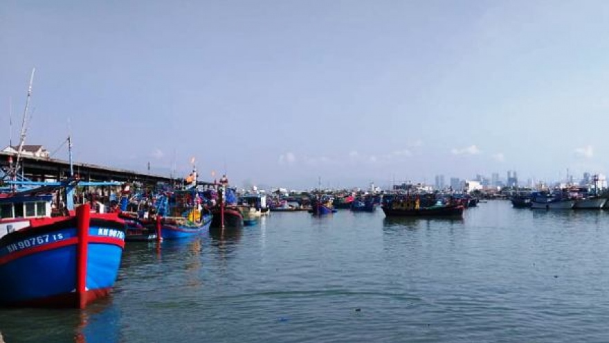 Khánh Hòa: Nghề biển gặp khó vì thiếu hụt lao động