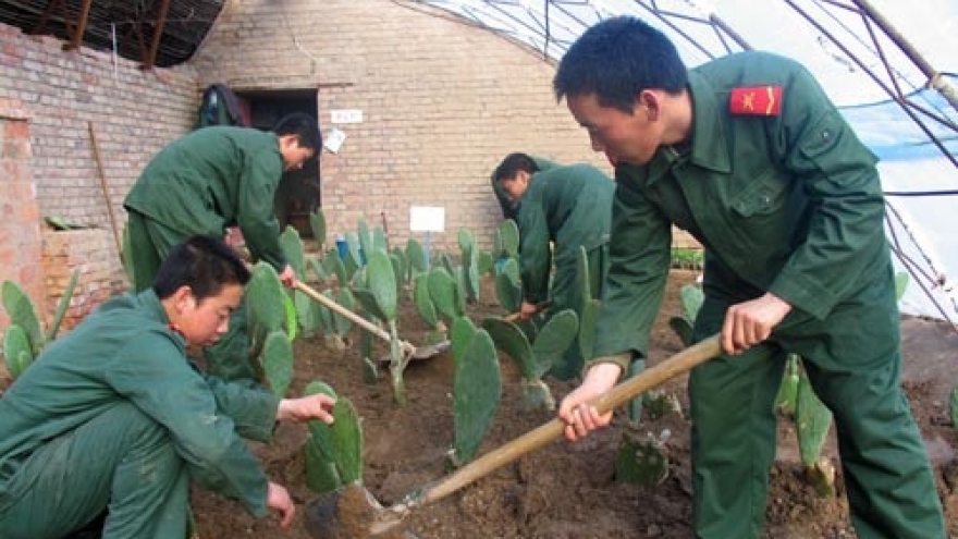 Mỹ trừng phạt thêm đại công ty của Trung Quốc liên quan đến Tân Cương