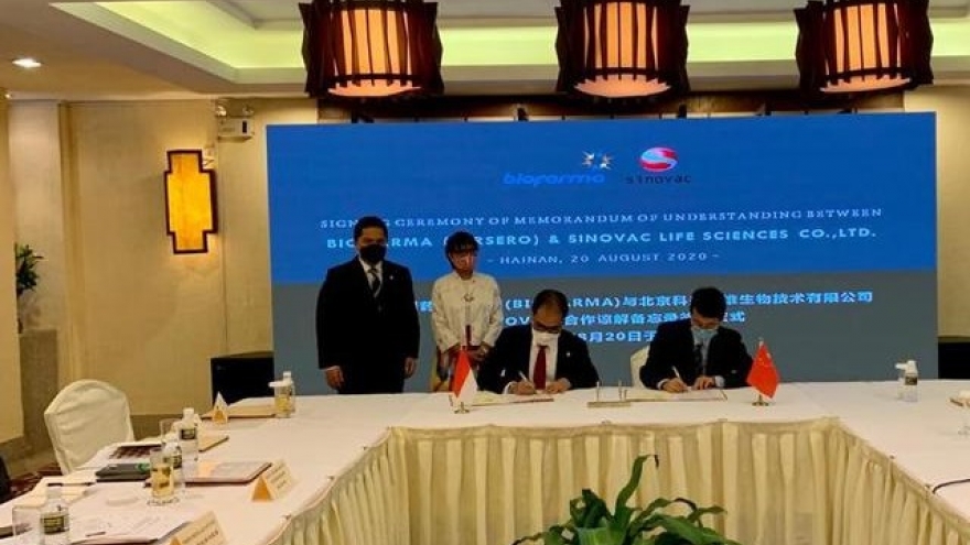 Indonesia đặt mua 340 triệu liều vaccine Covid-19 tiềm năng từ Trung Quốc và UAE