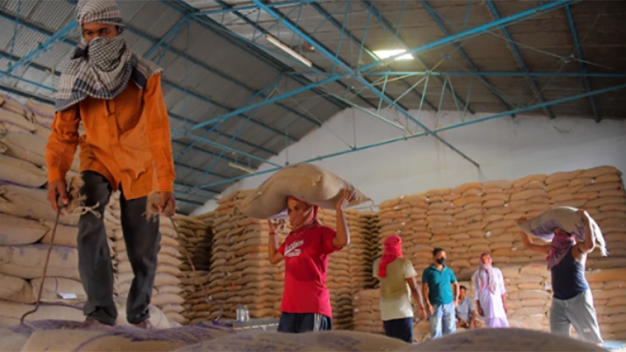 Nỗi lo chết đói vì dịch Covid-19 của hàng triệu dân nghèo Ấn Độ