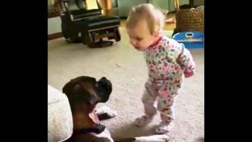 Video: Em bé không ngừng nói chuyện với chú chó “bạn thân”