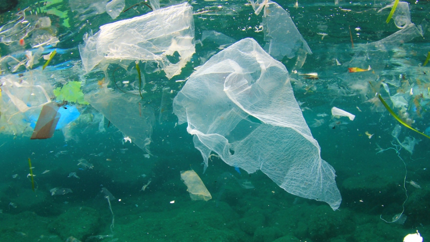 Pháp tăng mức phạt cho hành động vứt bừa bãi khẩu trang, găng tay nhựa