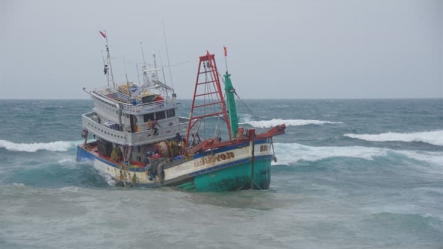 Cứu hộ 19 thuyền viên tàu cá Kiên Giang gặp nạn ở Bạch Long Vỹ