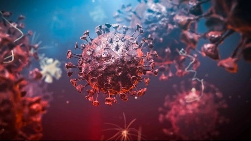 Vì sao người nhiễm virus SARS-CoV 2 bị mất khứu giác?