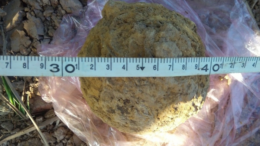 Phát hiện bom bi còn khả năng sát thương sót lại sau chiến tranh