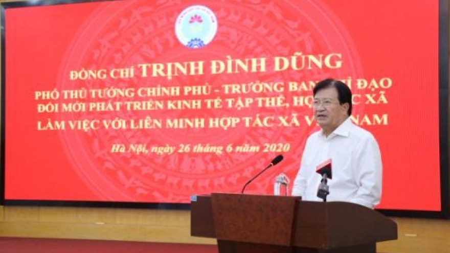 Các Hợp tác xã còn nhiều khó khăn, qui mô nhỏ lẻ