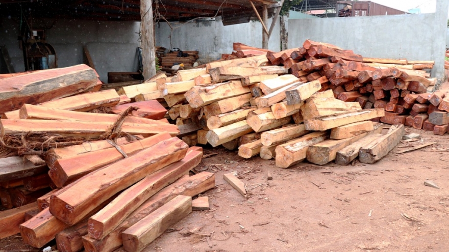 Phát hiện vụ vận chuyển, tàng trữ hãng chục khối gỗ chưa rõ nguồn gốc
