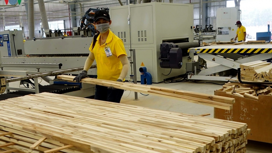 Giấy phép gỗ hợp pháp-hiện thực hóa con đường vào thị trường EU