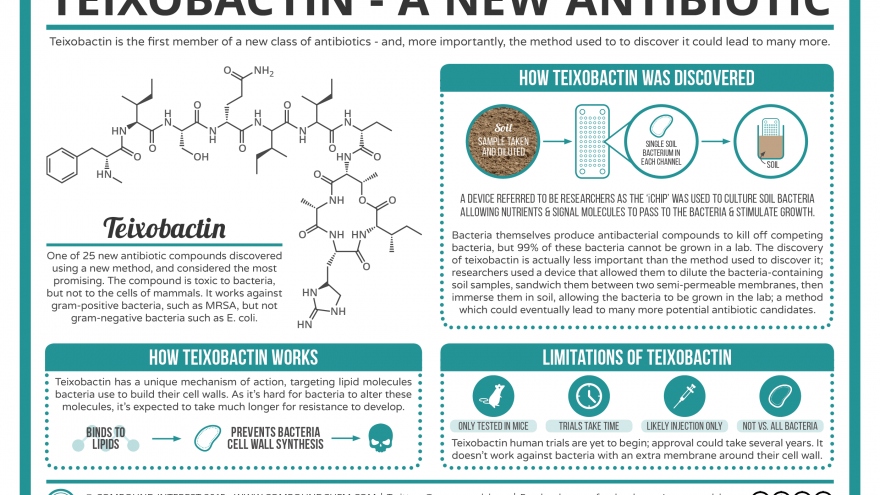 Teixobactin giúp điều trị biến chứng của bệnh Covid-19