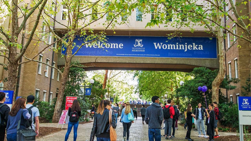 7 trường đại học Australia lọt top 100 trường đại học hàng đầu thế giới