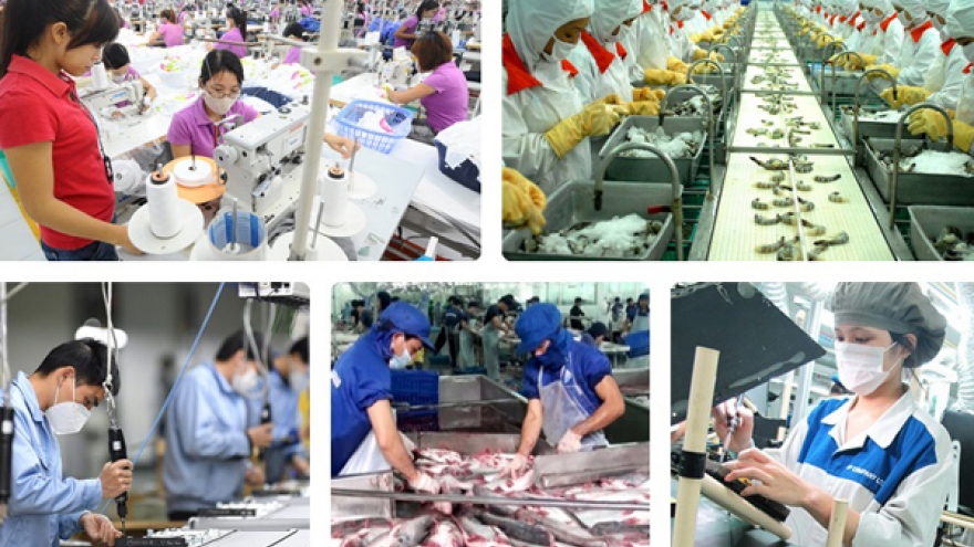 EVFTA buộc các doanh nghiệp phải “lột xác” để phát triển