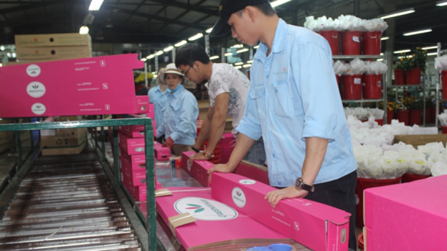 “Dọn tổ đón đại bàng thì cũng nên vãi thóc cho chào mào, chim sẻ“