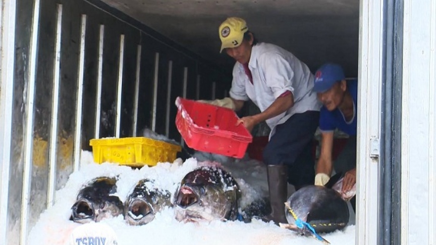 Dự báo tác động của EVFTA đối với nền kinh tế Việt Nam