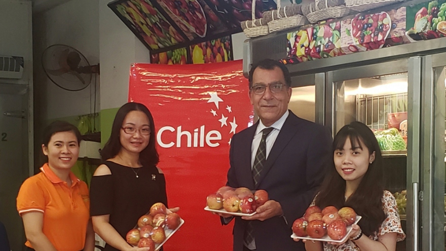 Lô hàng táo Chile đầu tiên có mặt tại thị trường Việt Nam