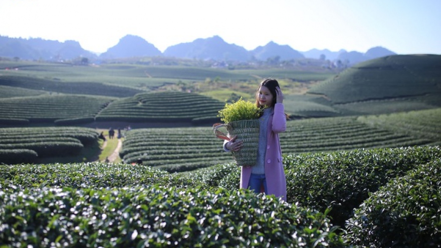 Chuyện một thầy giáo bỏ phố lên rừng ​