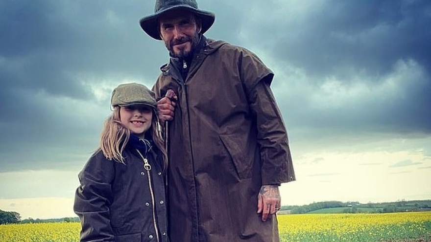 David Beckham hóa cao bồi, vui vẻ cùng con gái dắt thú cưng đi dạo