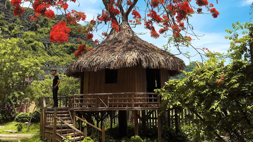 Phượng mọc giữa nhà gỗ, hồ sen nở rộ gây sốt ở “thánh địa sống ảo“