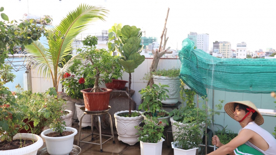 Phan Hiển chi cả trăm triệu cải tạo sân thượng thành vườn hồng tặng vợ