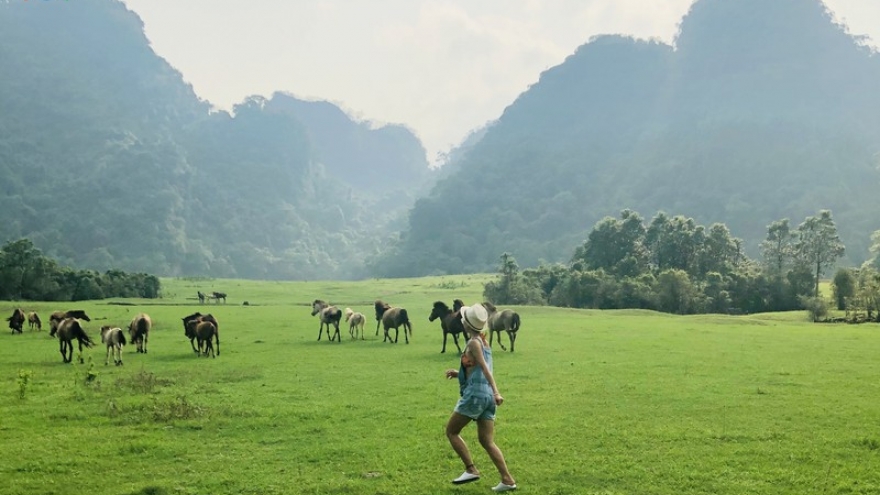 Khám phá thảo nguyên Đồng Lâm - nơi giải nhiệt lý tưởng cho mùa hè