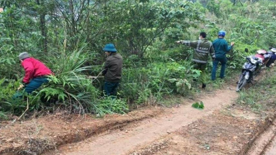 Quảng Ninh đã tìm thấy bé trai 2 tuổi rưỡi bị lạc ở rừng keo