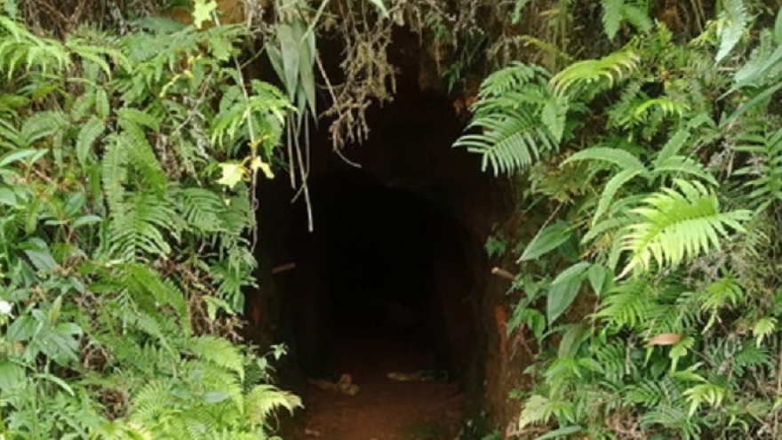 Đà Nẵng đề xuất đánh sập các hầm khai thác vàng trái phép tại rừng Hòa Bắc