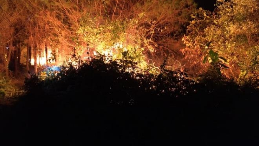 Hàng trăm người căng mình trong đêm, dập cháy rừng ở Hà Tĩnh