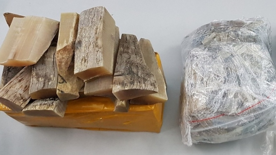 Bắt lô hàng sừng tê giác hơn 3 tỷ đồng tại Quảng Ninh