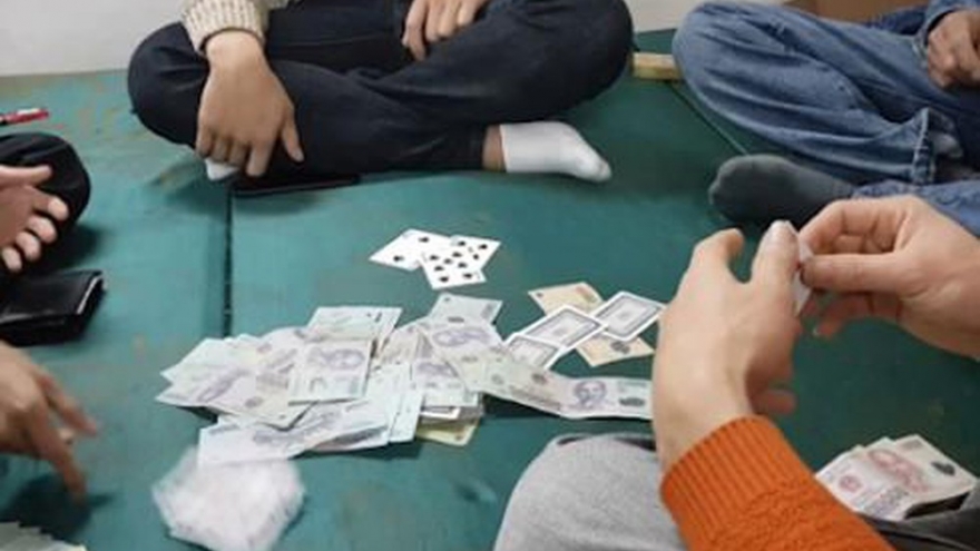 Đình chỉ công tác Trưởng phòng Sở Nội vụ để điều tra vụ đánh bạc