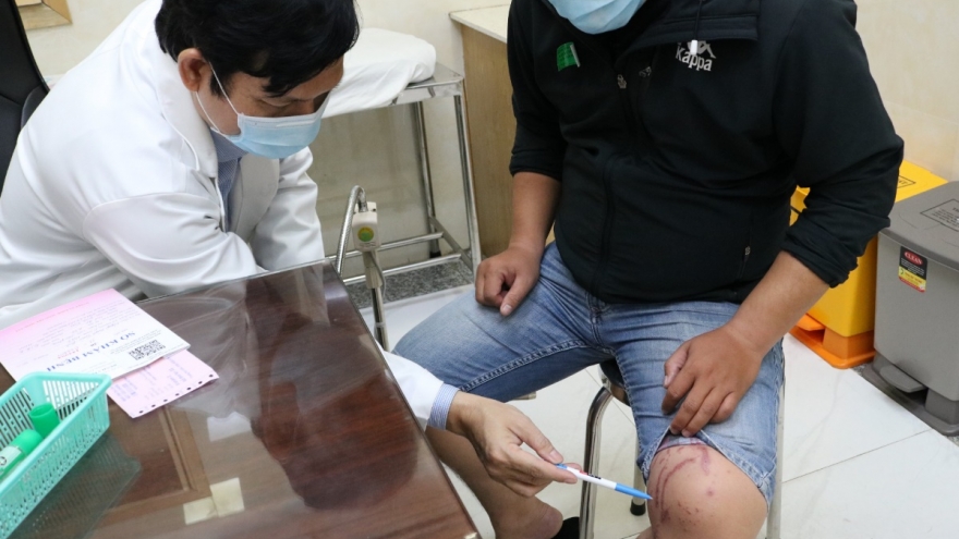 Cảnh báo viêm da tăng đột biến do kiến ba khoang