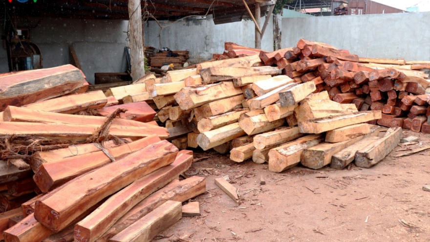 Tạm giữ chủ doanh nghiệp vận chuyển, tàng trữ gần 200m3 gỗ tại Gia Lai