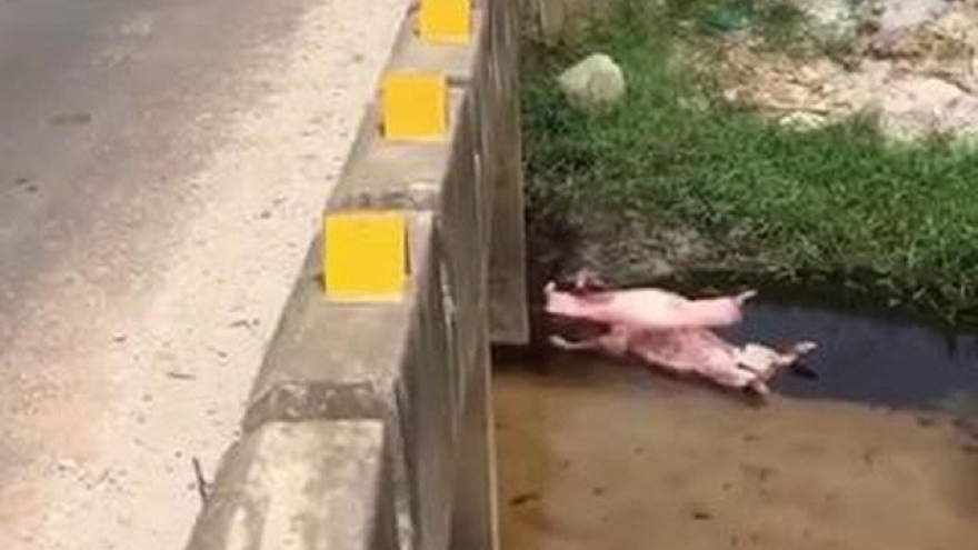 Nóng 24h: Vụ thi thể nữ sinh dưới mương nước có dấu hiệu án mạng