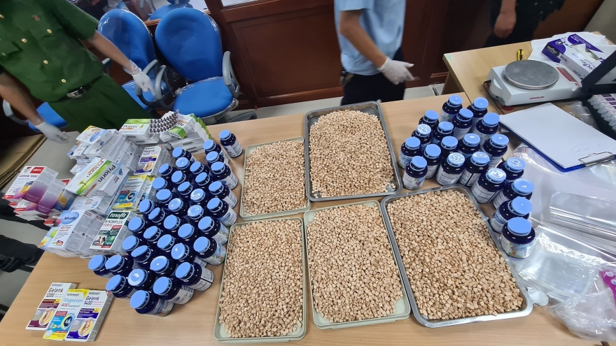 Bắt giữ hơn 42.000 viên ma túy tổng hợp từ Đức về Việt Nam