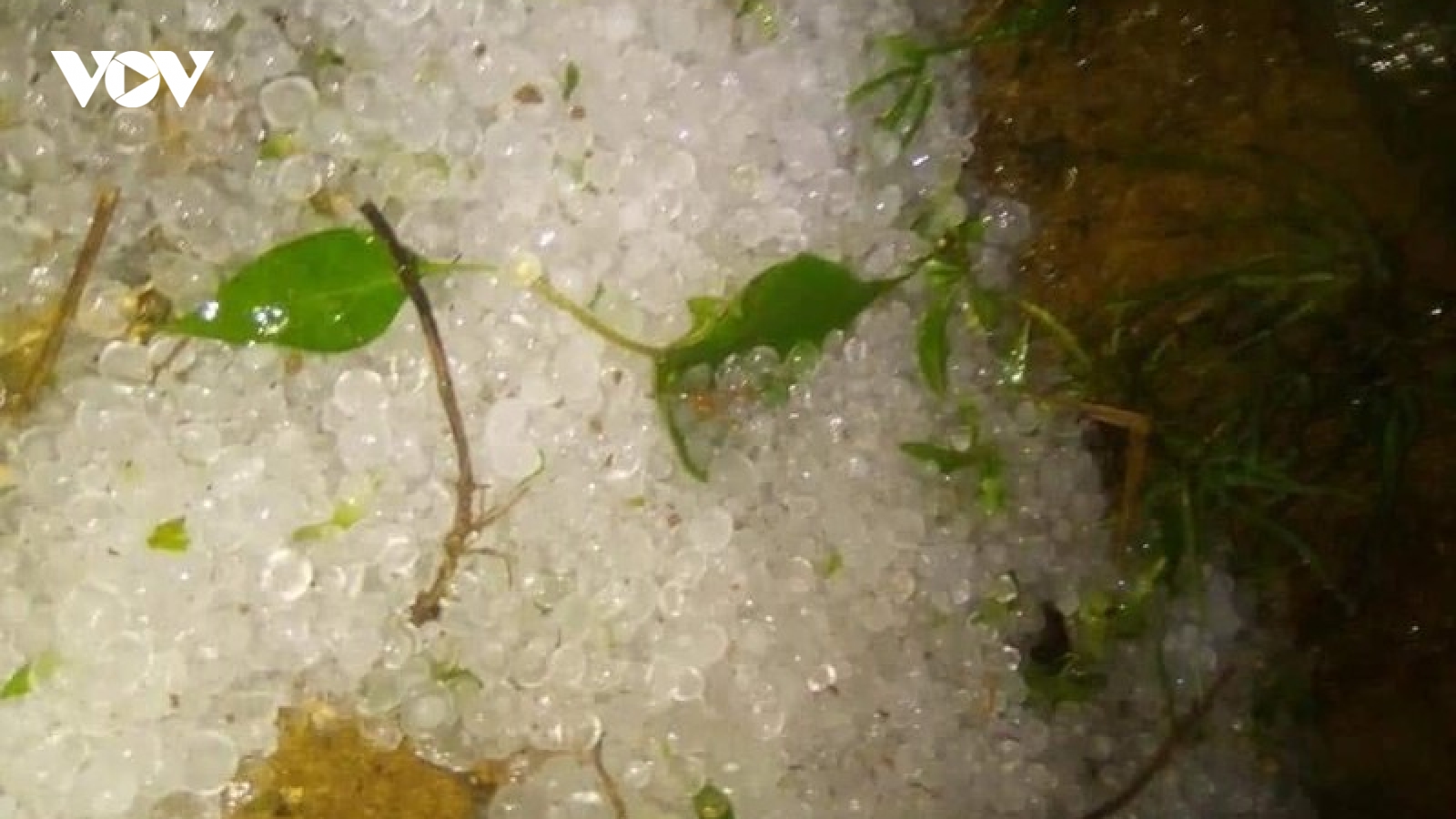 Mưa giông gây nhiều thiệt hại tại các tỉnh Bắc Kạn, Cao Bằng