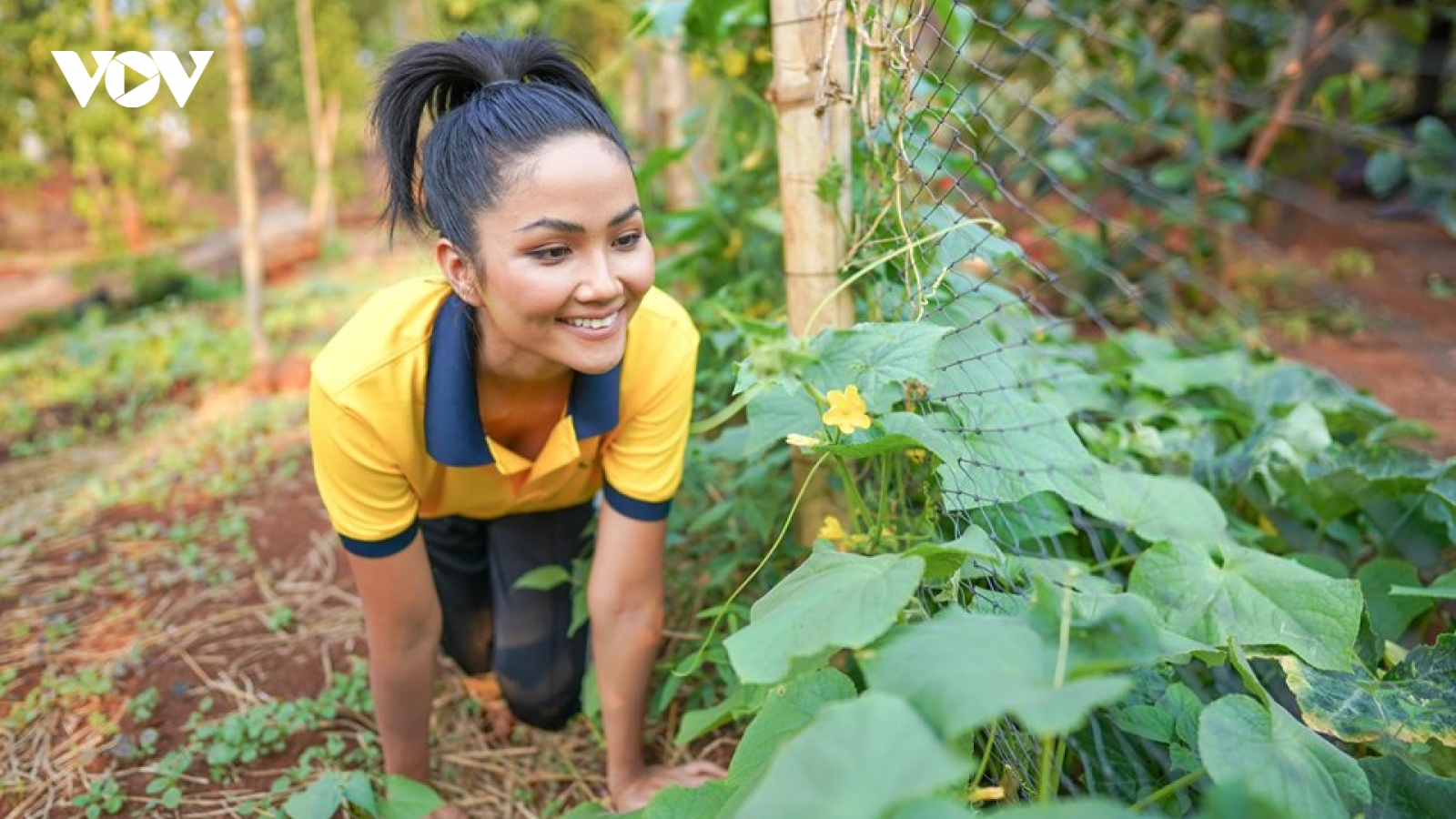 H'Hen Niê chi tiêu mùa dịch: “Ở quê, có những ngày không tiêu đồng nào“