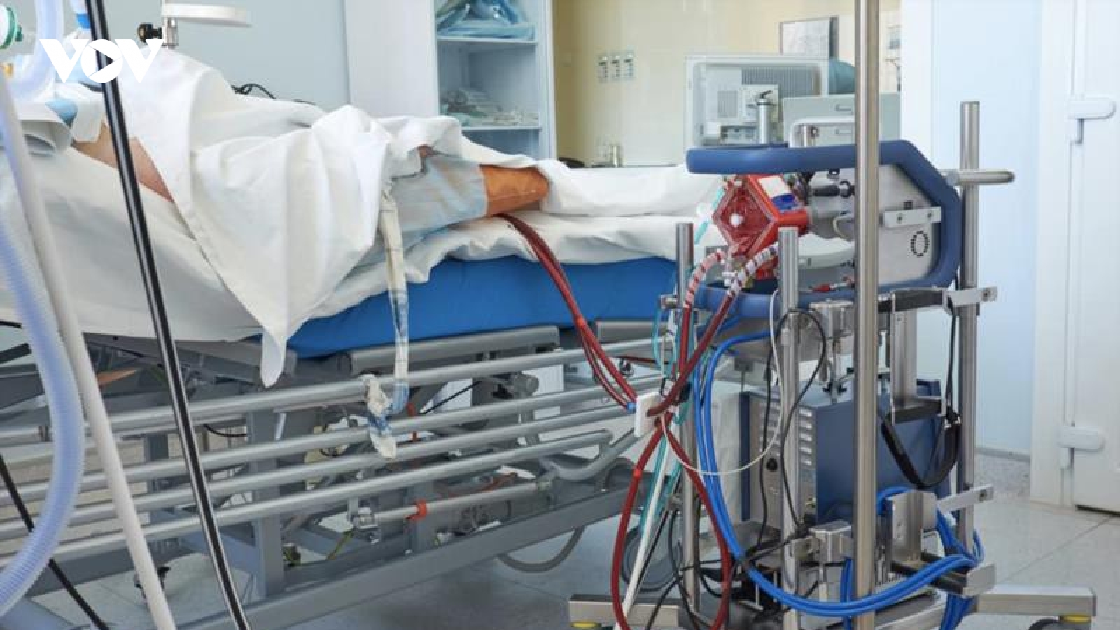 Sức khỏe phi công người Anh mắc Covid-19 có dấu hiệu tốt lên