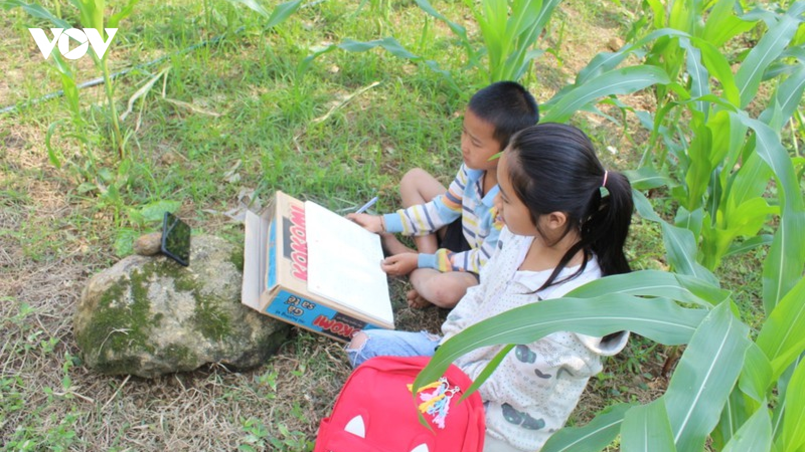 “Đáng nể” với tỷ lệ học trực tuyến ở một trường tiểu học vùng khó Lào Cai