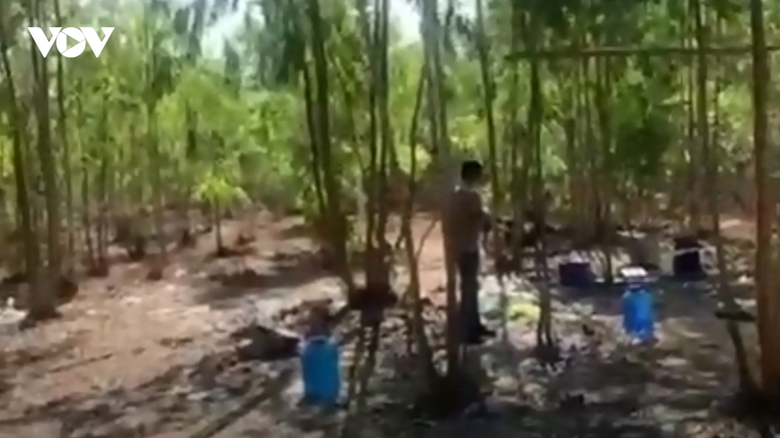 Công an đột kích trường gà ở Gia Lai