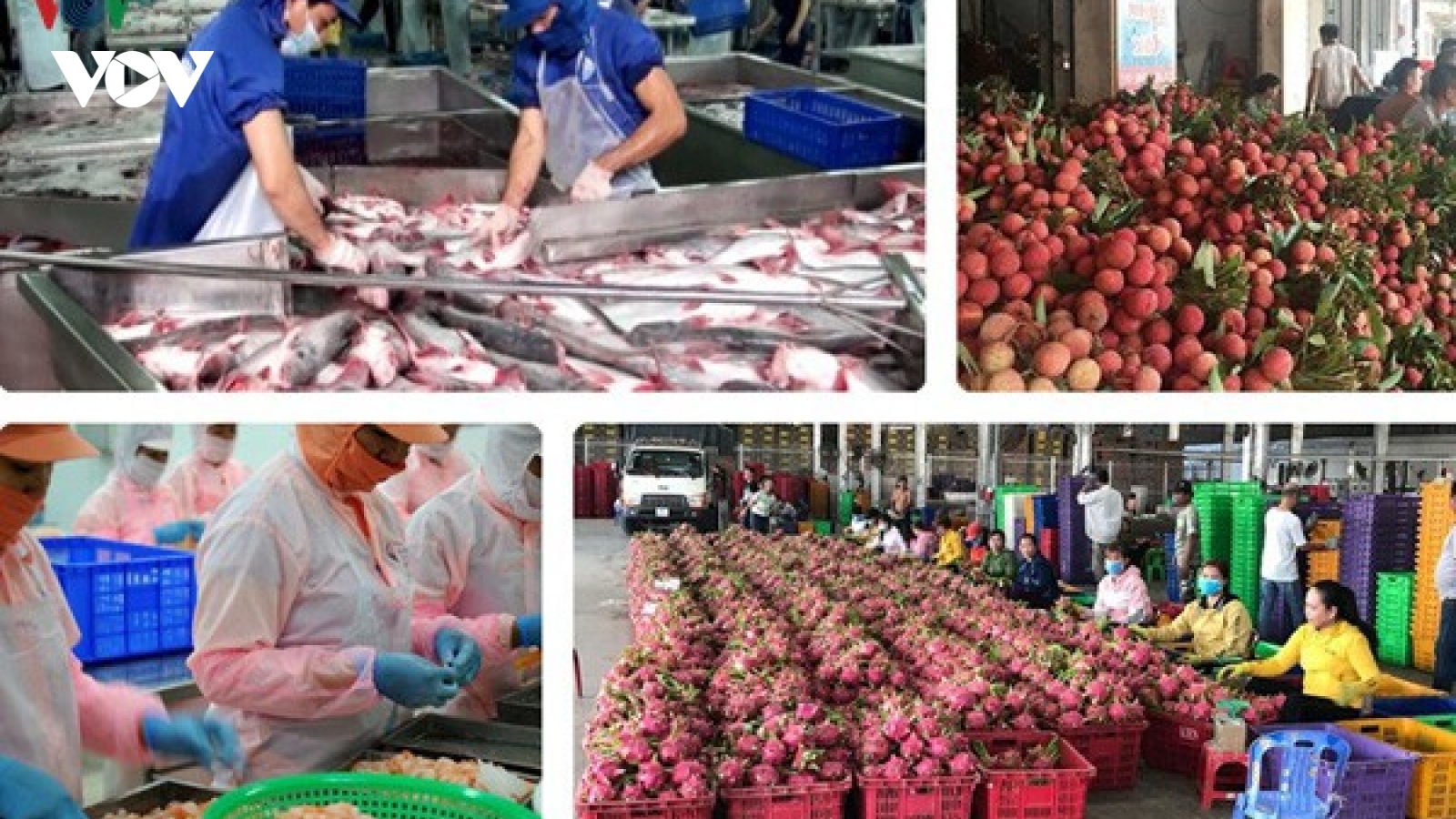 Phụ nữ Hà Nội kết nối tiêu thụ nông sản an toàn trong mùa dịch