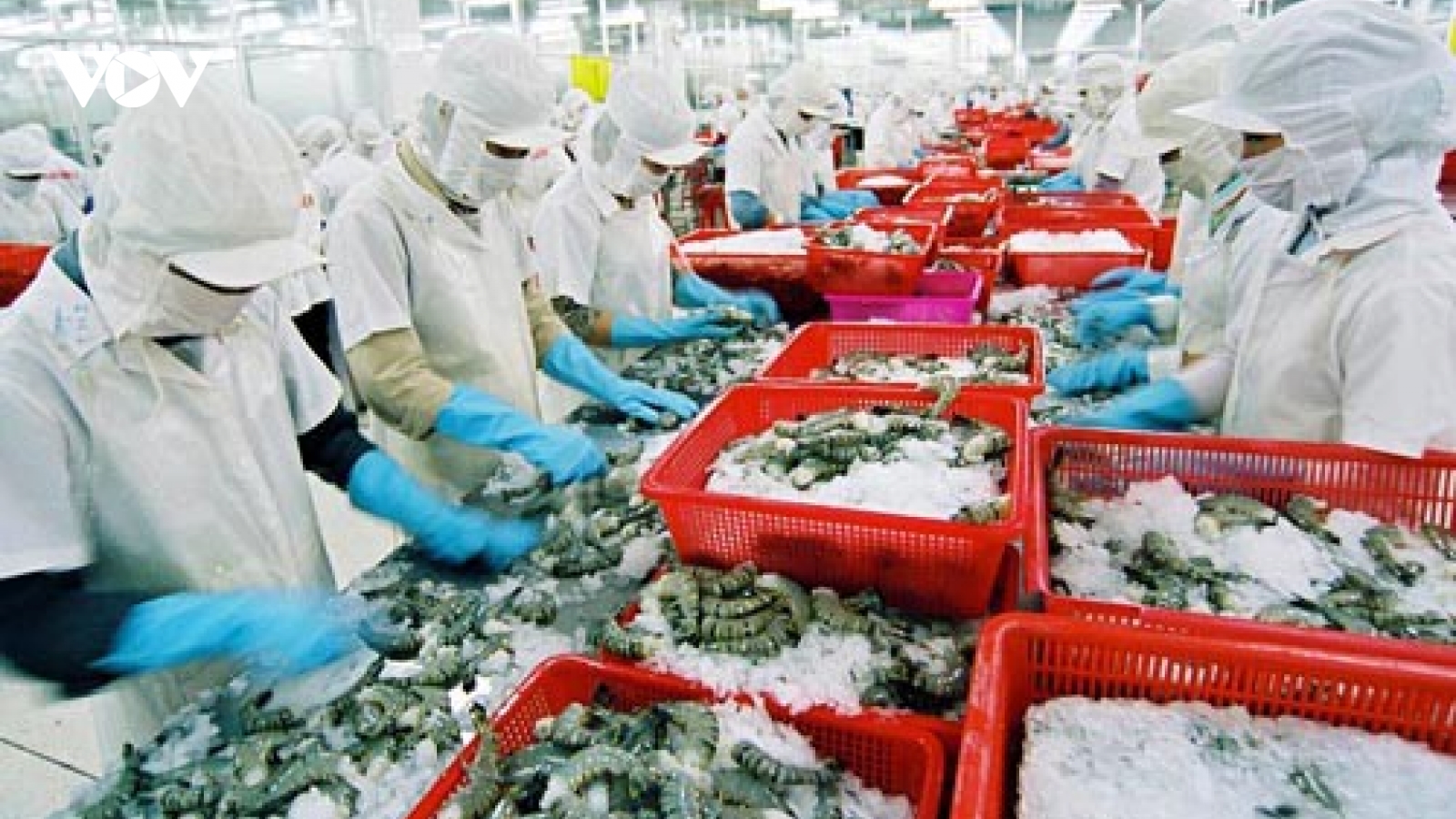 Ngành thủy sản khôi phục sản xuất sau dịch Covid-19