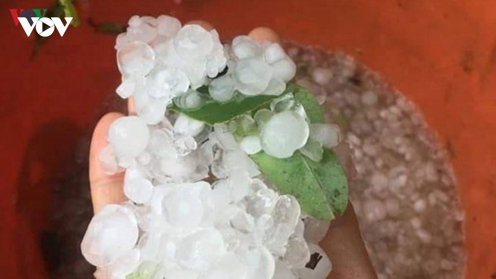 Xuất hiện mưa đá ở Quảng Trị