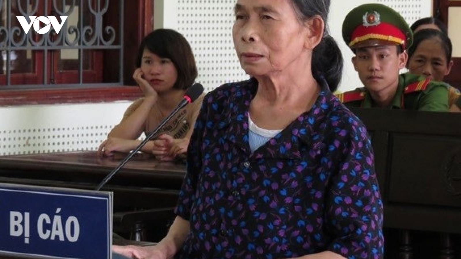 Phạt 12 năm tù với bà nội xô cháu xuống đập nước để sát hại