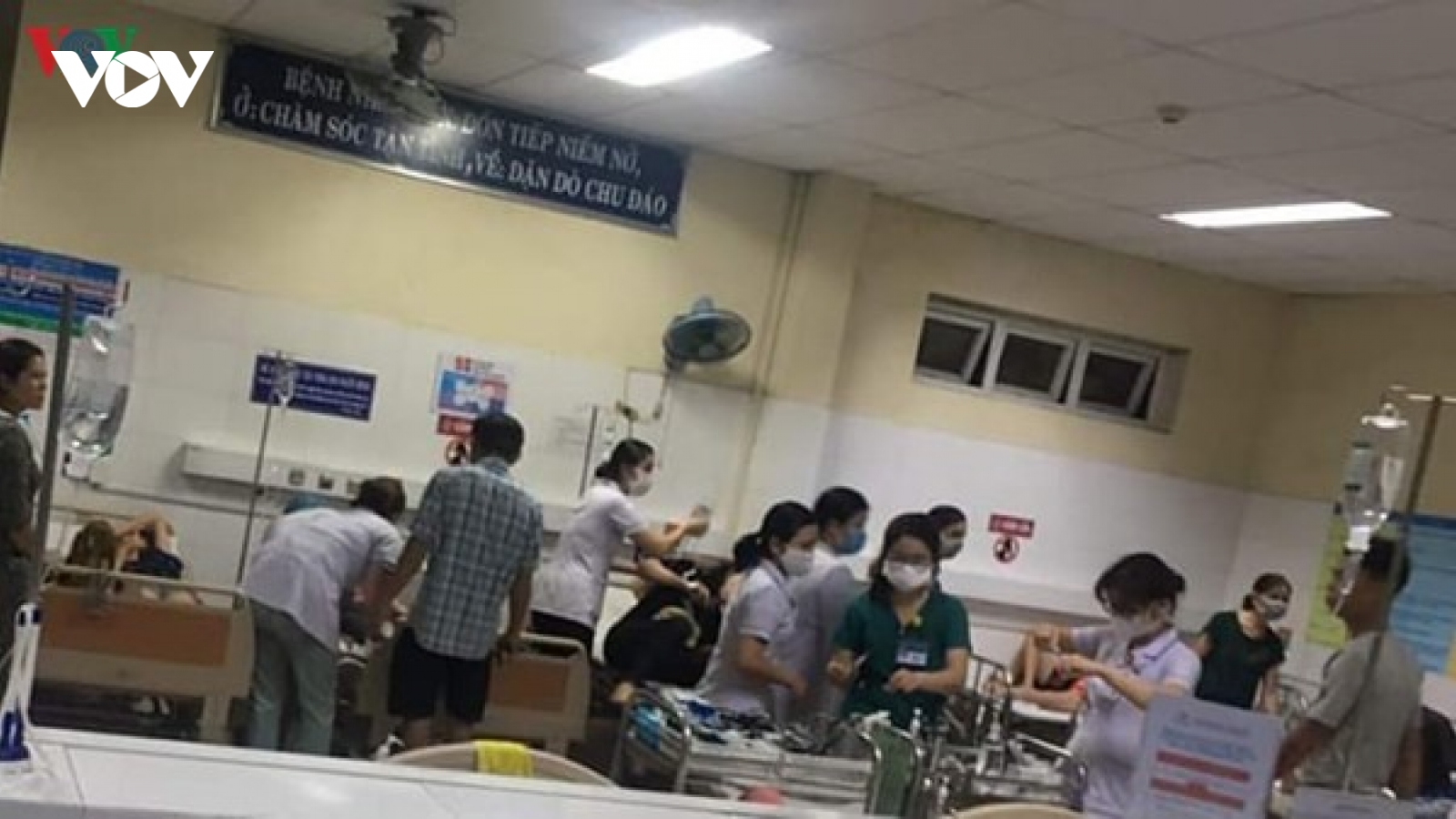 Ăn đồ chay mua ở chợ, 133 người Đà Nẵng ngộ độc