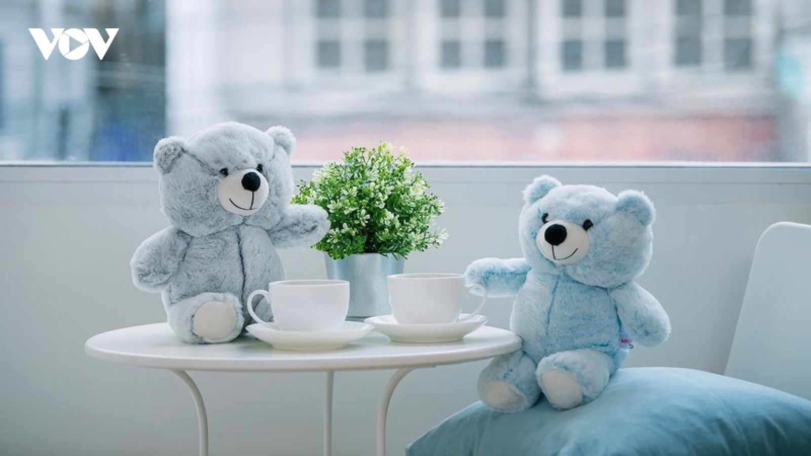 Thái Lan dùng gấu bông để giữ khoảng cách an toàn thời Covid-19