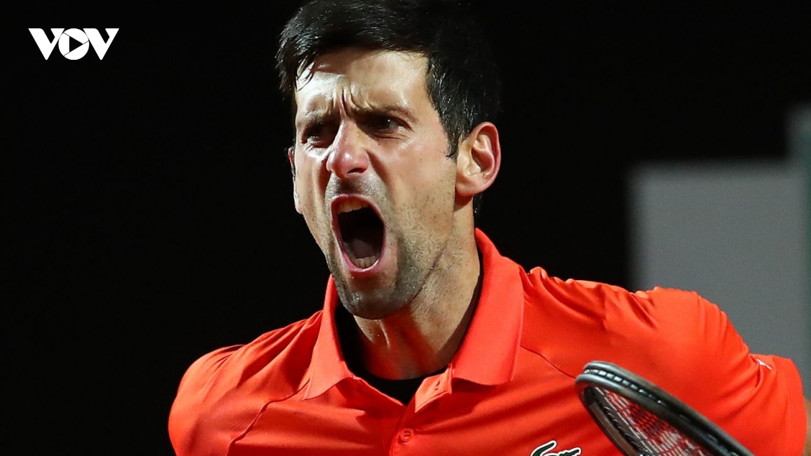 Djokovic không làm giả phiếu xét nghiệm COVID-19