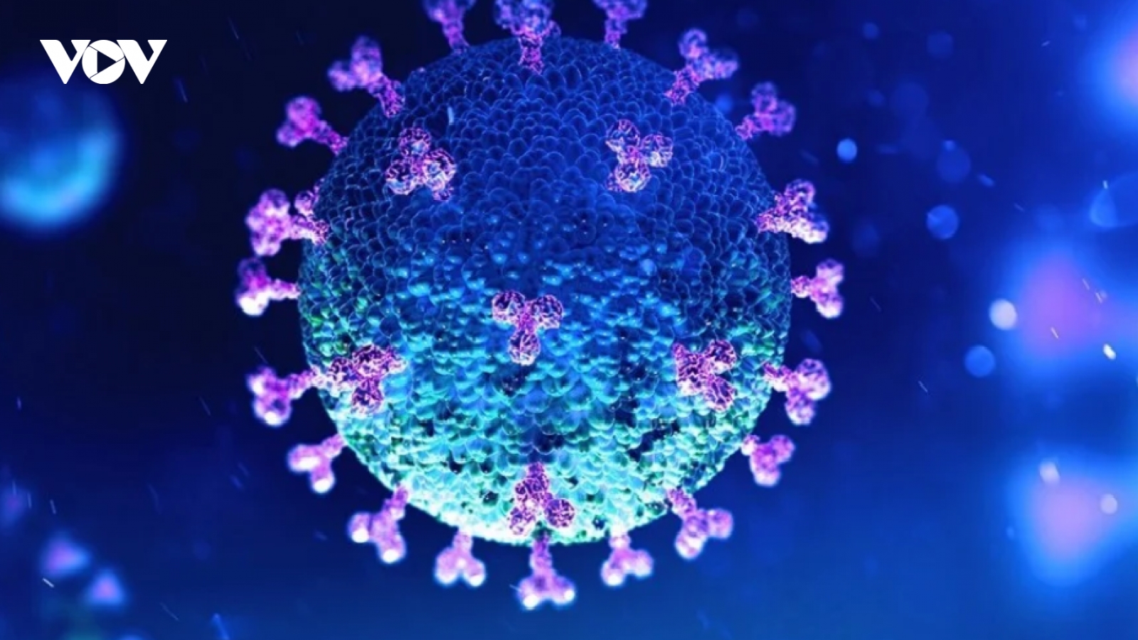 Tình báo Mỹ bác bỏ thông tin virus SARS-CoV-2 do con người tạo ra