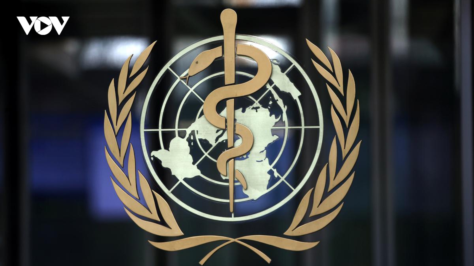 Đại dịch Covid-19 bùng phát mạnh: WHO lạc quan về tiến triển của vaccine