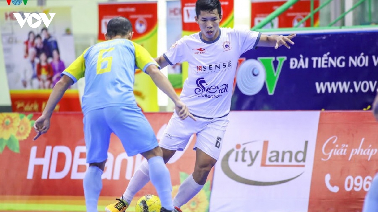 Xem trực tiếp Futsal HDBank VĐQG 2020: Cao Bằng - Tân Hiệp Hưng