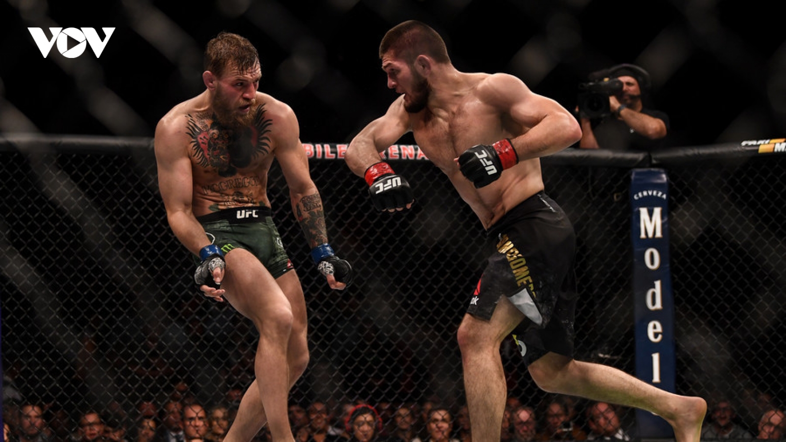 VIDEO: Những ngón đòn hạ gục đối thủ của “Đại bàng” Khabib Nurmagomedov